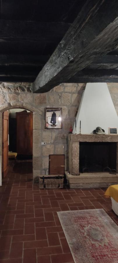 La Chascona Di Farnese Casa Di Tufo Nel Borgoアパートメント エクステリア 写真