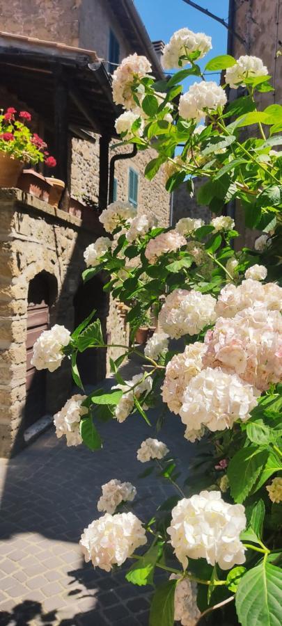 La Chascona Di Farnese Casa Di Tufo Nel Borgoアパートメント エクステリア 写真