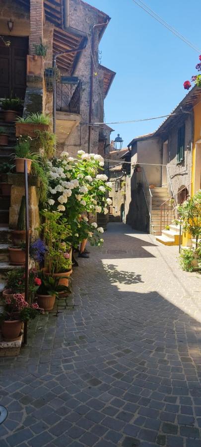 La Chascona Di Farnese Casa Di Tufo Nel Borgoアパートメント エクステリア 写真